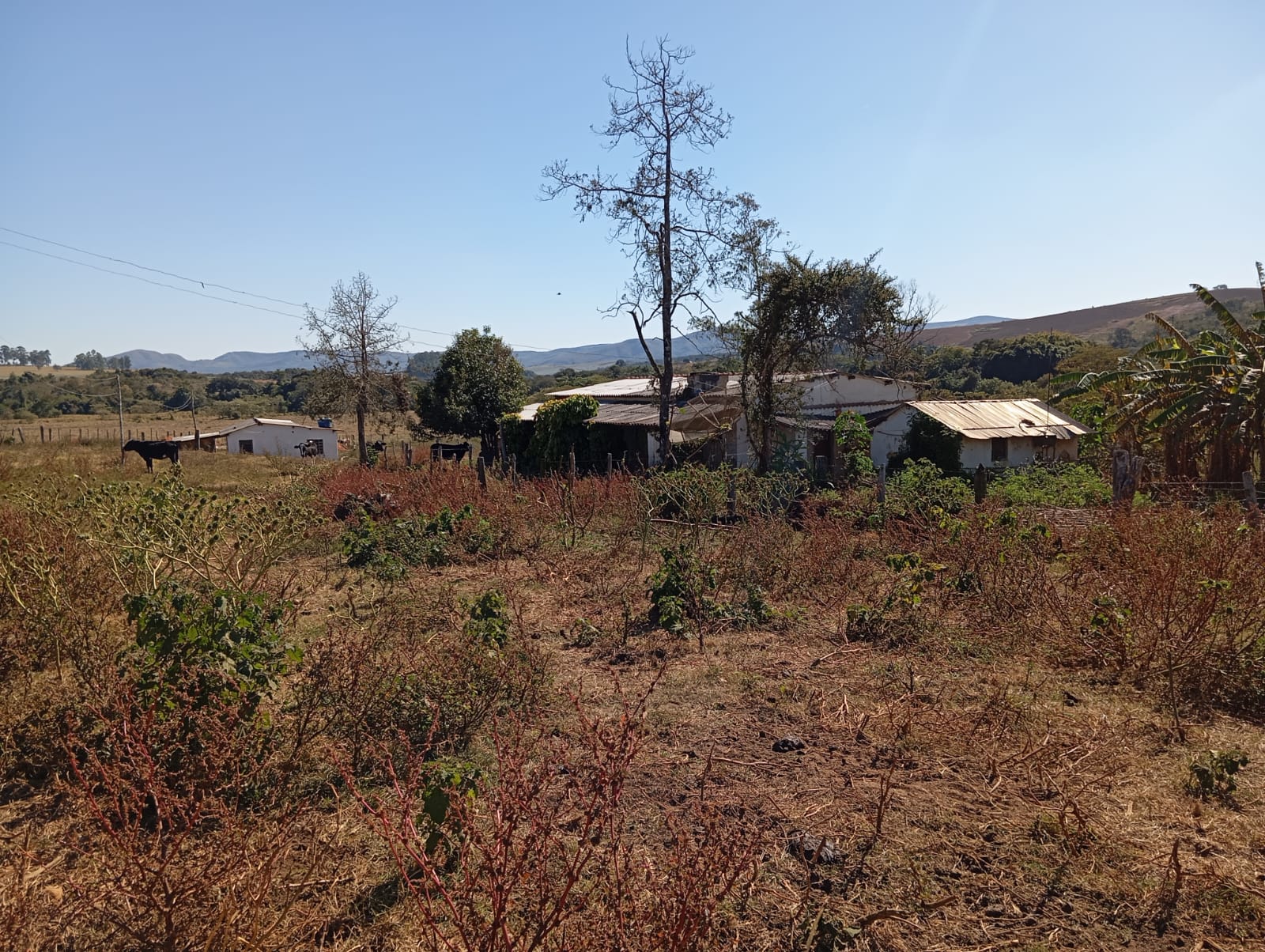Imóvel rural composto por 3 glebas de terrras, Itutinga/Ingaí - 118 has.Santa Cecília Imóveis