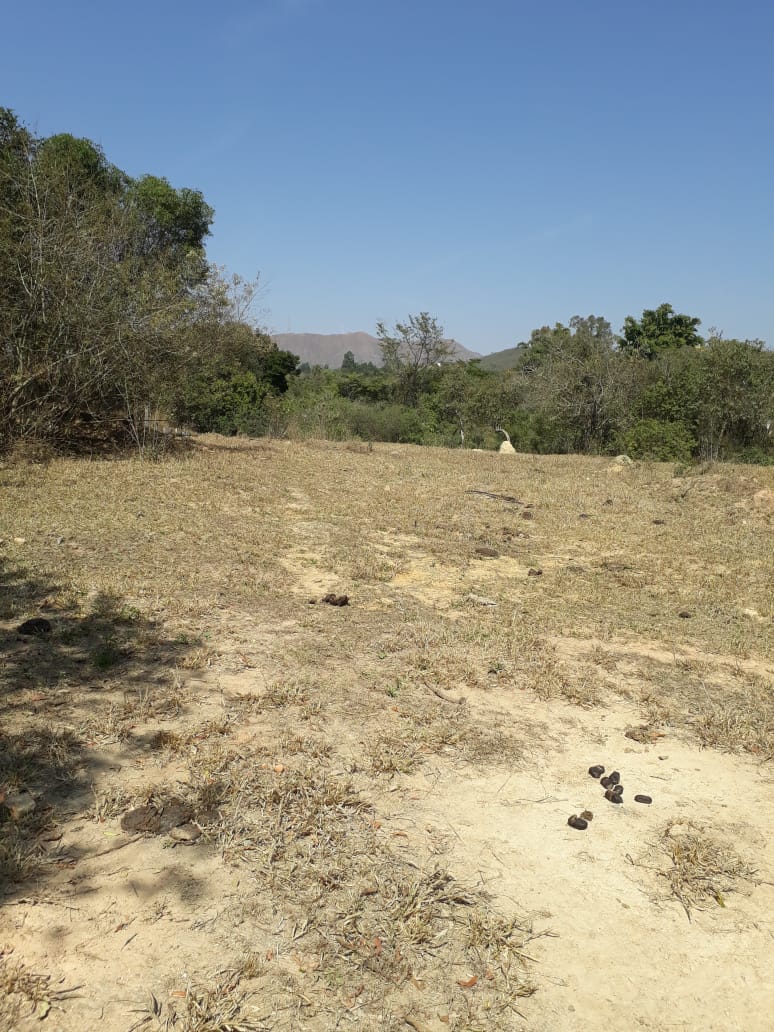 TERRENO NA SERRINHASanta Cecília Imóveis