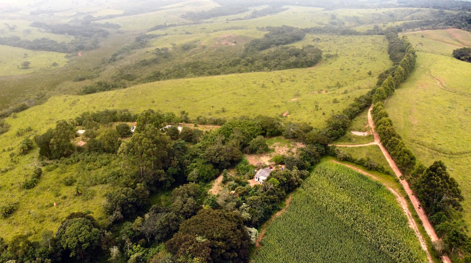  Fazenda à Venda – Itutinga (MG) – 96 hectaresSanta Cecília Imóveis