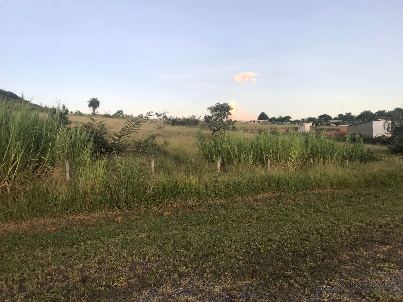 ÁREA NA BR 381Santa Cecília Imóveis