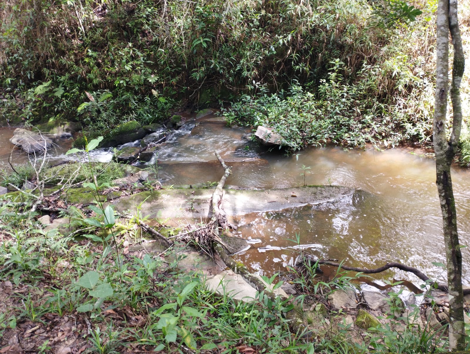 Linda área rural em Macuco à 600 metros da Br-265. 7 has.Santa Cecília Imóveis