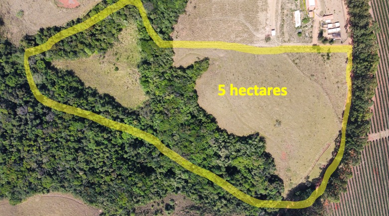 TERRENO A VENDA EM INGAÍSanta Cecília Imóveis
