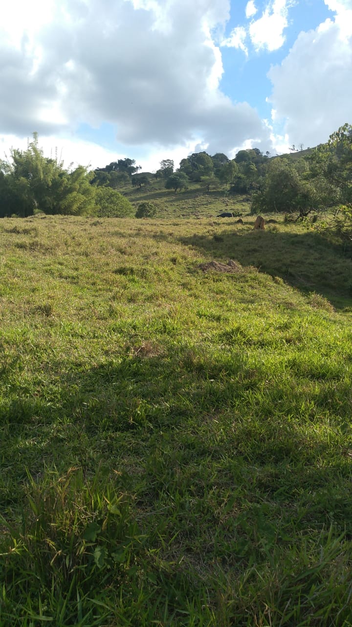 TERRENO RURAL A VENDASanta Cecília Imóveis