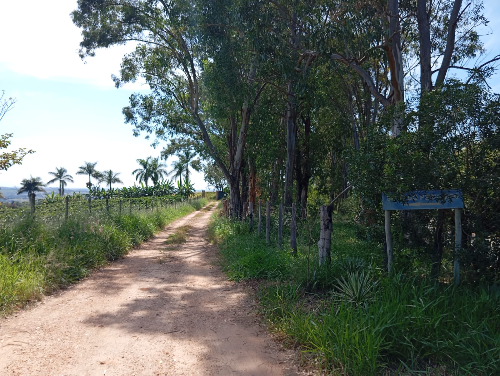 Terreno rural às margens da rodovia Ribeirão Vermelho/ Perdões.Santa Cecília Imóveis